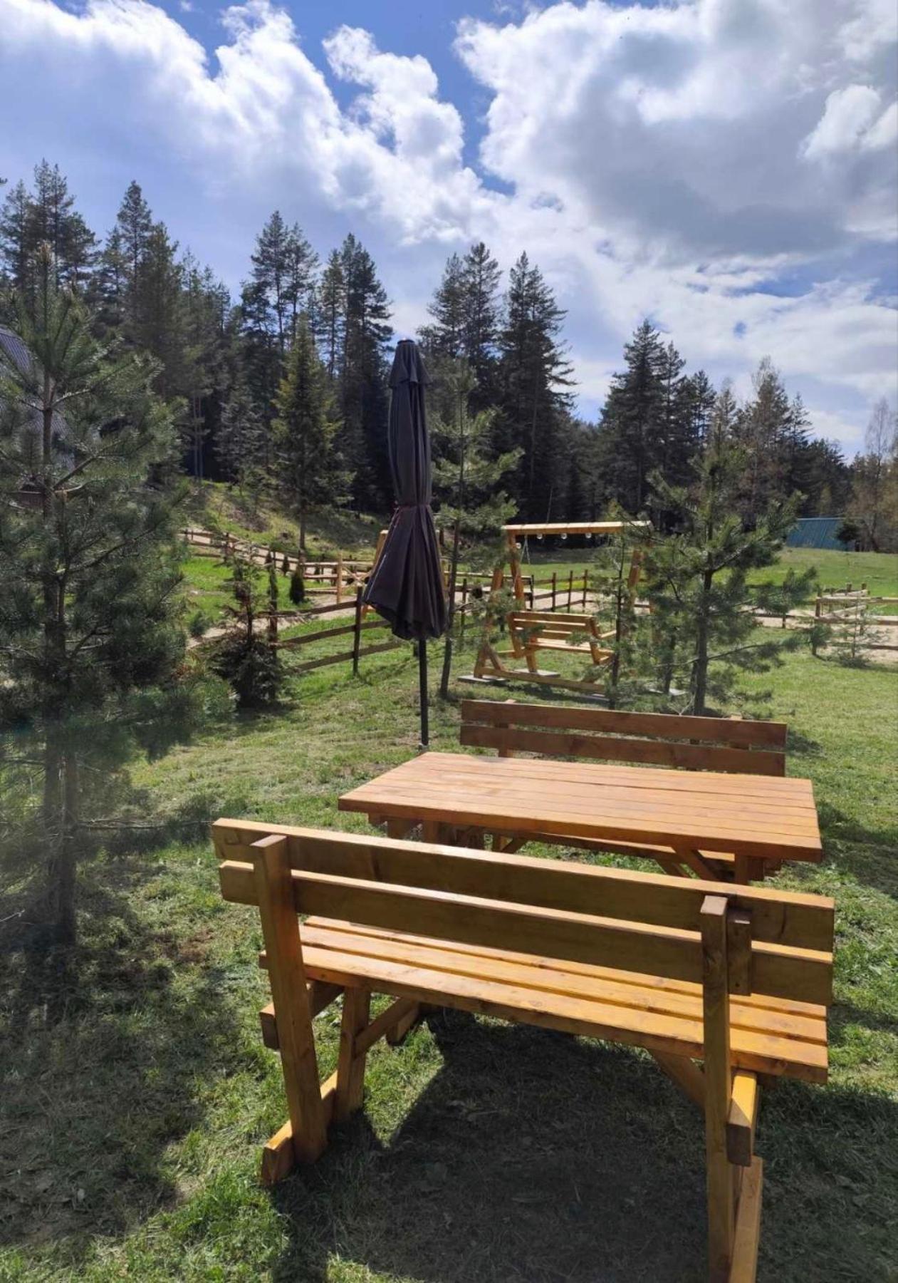 Pine Forest-White Zabljak  Bagian luar foto