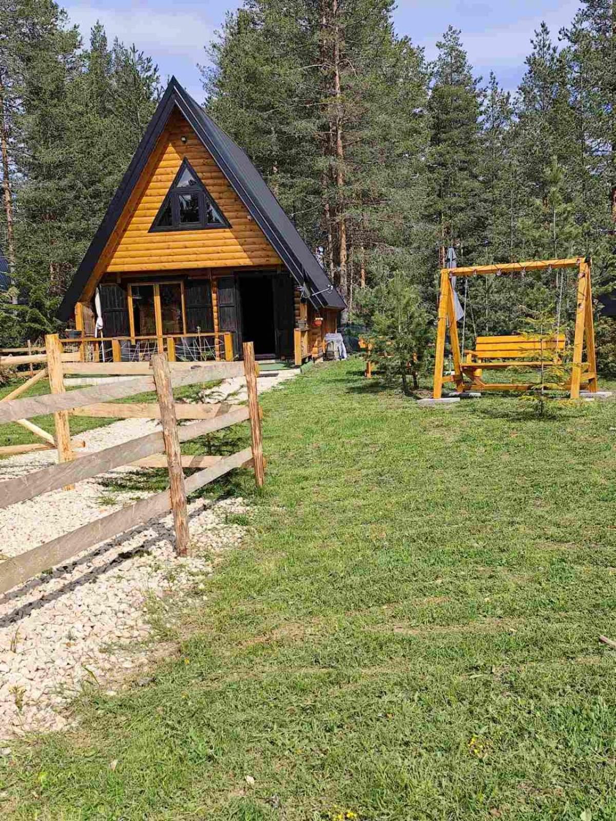 Pine Forest-White Zabljak  Bagian luar foto